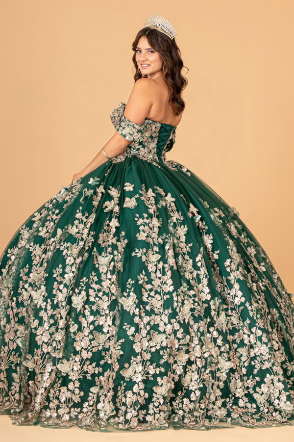 Quinceanera Dress!