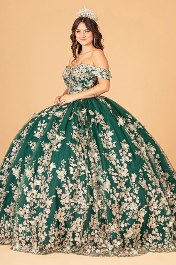 Quinceanera Dress!