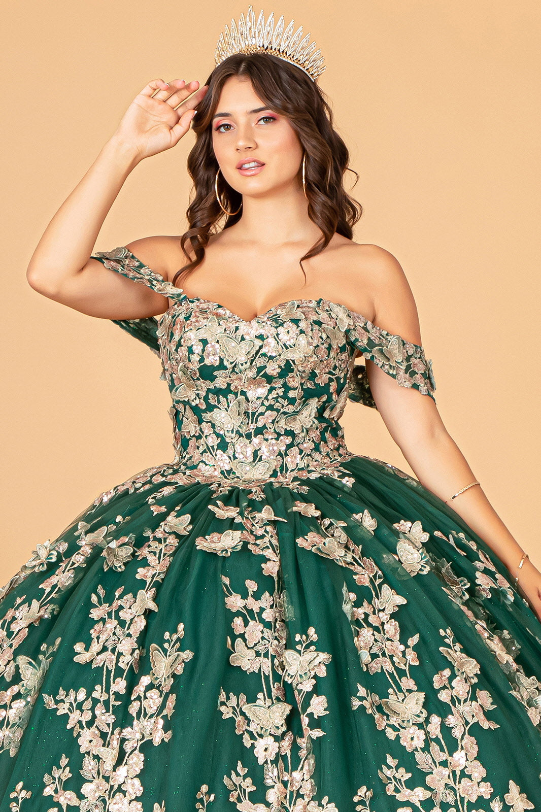 Quinceanera Dress!