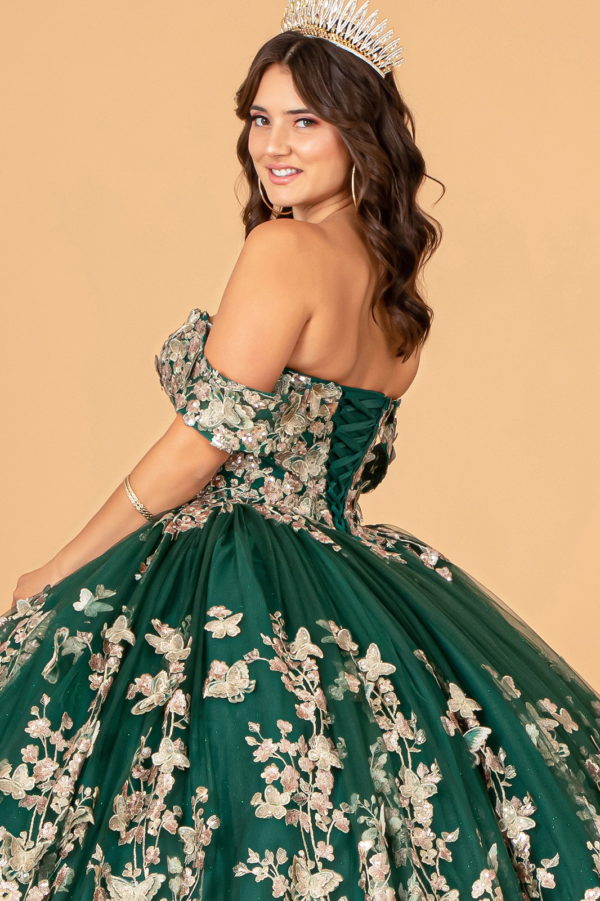 Quinceanera Dress!