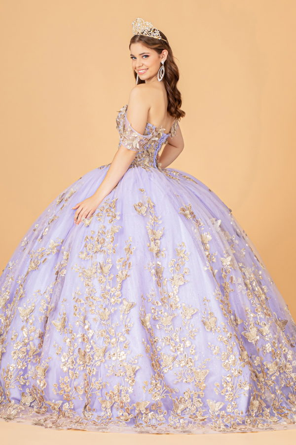 Quinceanera Dress!