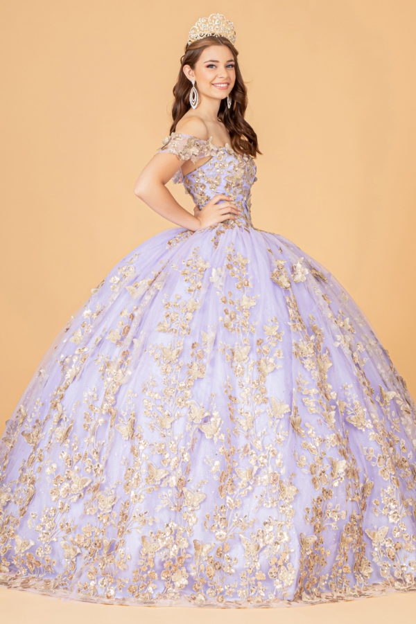 Quinceanera Dress!