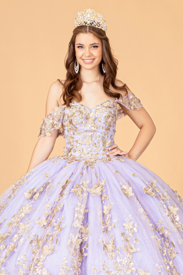 Quinceanera Dress!