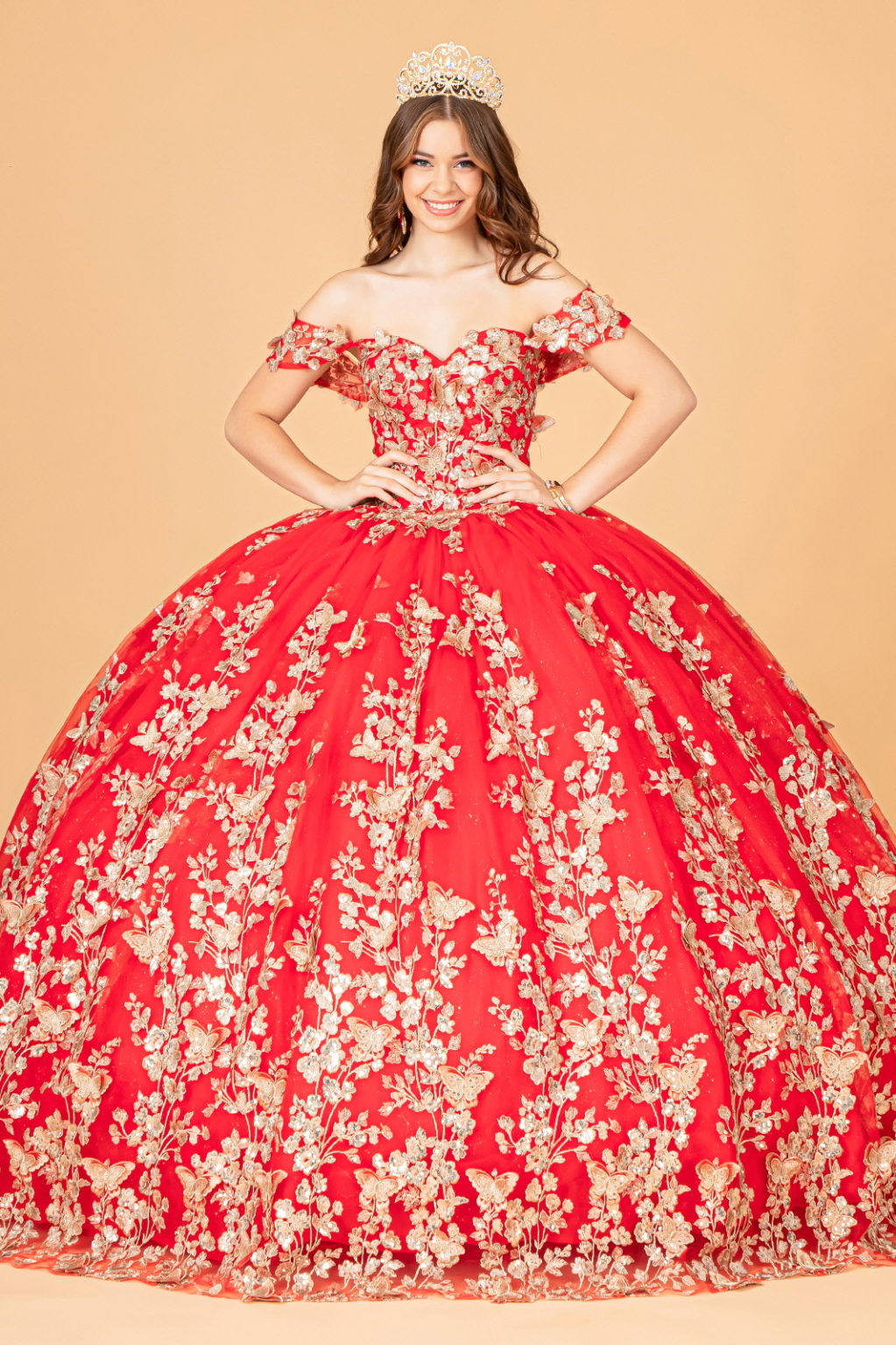 Quinceanera Dress!