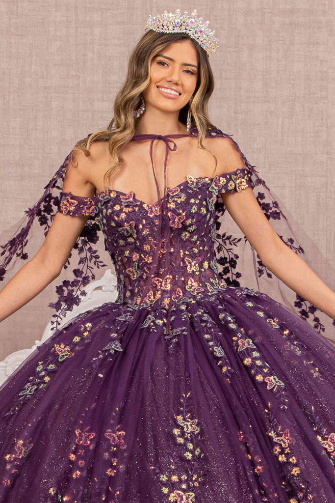 Wedding Butterfly Sheer Bodice Queen Dress